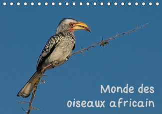 MONDE DES OISEAUX AFRICAIN (CALENDRIER CHEVALET 2019 DIN A5 HORIZONTAL) - DES PORTRAITS D'OISEAU FAS