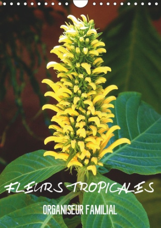 FLEURS TROPICALES / ORGANISEUR FAMILIAL (CALENDRIER MURAL 2019 DIN A4 VERTICAL) - LA SPLENDEUR DES F