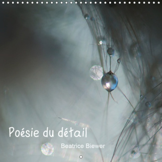 POESIE DU DETAIL (CALENDRIER MURAL 2019 300 * 300 MM SQUARE) - TOUTE LA POESIE DE LA NATURE EN QUELQ