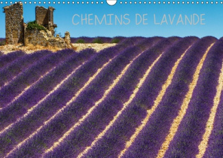 CHEMINS DE LAVANDE (CALENDRIER MURAL 2019 DIN A3 HORIZONTAL) - PAYSAGES DE CHAMPS DE LAVANDE (CALEND