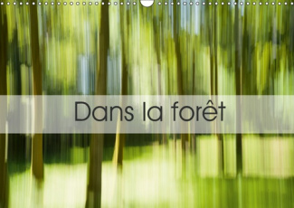 DANS LA FORET (CALENDRIER MURAL 2019 DIN A3 HORIZONTAL) - UNE SUITE D'IMAGES PRISES EN CREUSE... (CA