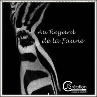 AU REGARD DE LA FAUNE (CALENDRIER MURAL 2019 300 * 300 MM SQUARE) - AU REGARD DE LA FAUNE, PORTRAITS