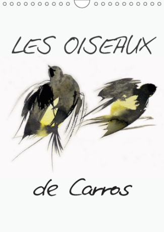 LES OISEAUX DE CARROS (CALENDRIER MURAL 2019 DIN A4 VERTICAL) - OISEAUX, AQUARELLES (CALENDRIER MENS