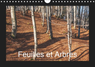 FEUILLES ET ARBRES (CALENDRIER MURAL 2019 DIN A4 HORIZONTAL) - CAPTIVE PAR LES SAISONS (CALENDRIER M