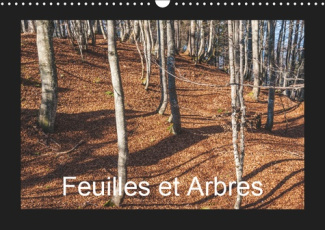 FEUILLES ET ARBRES (CALENDRIER MURAL 2019 DIN A3 HORIZONTAL) - CAPTIVE PAR LES SAISONS (CALENDRIER M