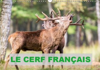 LE CERF FRANCAIS (CALENDRIER MURAL 2019 DIN A3 HORIZONTAL) - PHOTOS DE CERFS EN FRANCE (CALENDRIER M