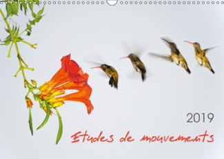 ETUDES DE MOUVEMENTS (CALENDRIER MURAL 2019 DIN A3 HORIZONTAL) - ETUDES DE MOUVEMENTS: SERIE DE DOUZ