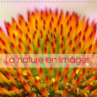 LA NATURE EN IMAGES (CALENDRIER MURAL 2019 300 * 300 MM SQUARE) - LA NATURE AU FIL DES SAISONS, EN P