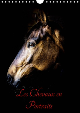 CHEVAUX EN PORTRAITS (CALENDRIER MURAL 2019 DIN A4 VERTICAL) - PORTRAITS DE CHEVAUX EN LIBERTE ET ST