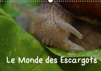 LE MONDE DES ESCARGOTS (CALENDRIER MURAL 2019 DIN A3 HORIZONTAL) - ESCARGOTS DANS NOTRE PAYSAGE (CAL