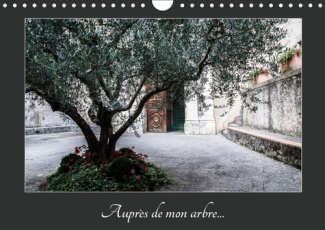 AUPRES DE MON ARBRE (CALENDRIER MURAL 2019 DIN A4 HORIZONTAL) - AU TRAVERS DES SAISONS L'ARBRE ET SE