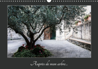 AUPRES DE MON ARBRE (CALENDRIER MURAL 2019 DIN A3 HORIZONTAL) - AU TRAVERS DES SAISONS L'ARBRE ET SE