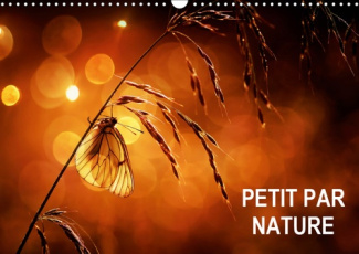 PETIT PAR NATURE (CALENDRIER MURAL 2019 DIN A3 HORIZONTAL) - SELECTION DE PHOTOGRAPHIES MACRO (CALEN