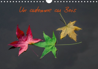 UN AUTOMNE AU BOIS (CALENDRIER MURAL 2019 DIN A4 HORIZONTAL) - UN AUTOMNE DANS LE BOIS DE BOULOGNE.