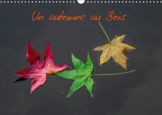 UN AUTOMNE AU BOIS (CALENDRIER MURAL 2019 DIN A3 HORIZONTAL) - UN AUTOMNE DANS LE BOIS DE BOULOGNE.