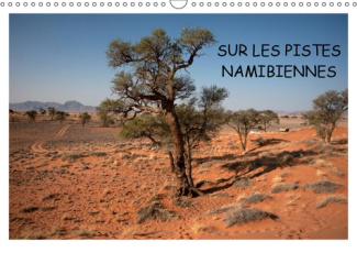 SUR LES PISTES NAMIBIENNES (CALENDRIER MURAL 2019 DIN A3 HORIZONTAL) - A LA DECOUVERTE DE LA NAMIBIE