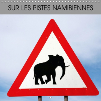 SUR LES PISTES NAMIBIENNES (CALENDRIER MURAL 2019 300 * 300 MM SQUARE) - LA NAMIBIE EN 12 PHOTOS (CA
