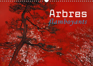 ARBRES FLAMBOYANTS (CALENDRIER MURAL 2019 DIN A3 HORIZONTAL) - PEINTURE JAPONAISE CONTEMPORAINE (CAL