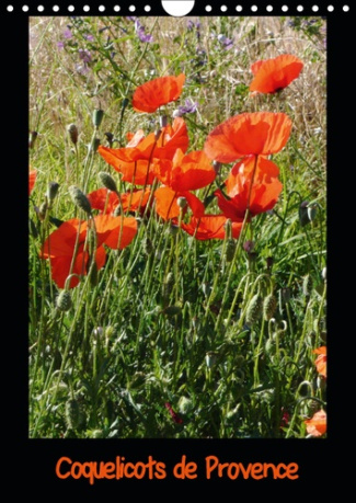 COQUELICOTS DE PROVENCE (CALENDRIER MURAL 2019 DIN A4 VERTICAL) - PHOTOS DES COQUELICOTS DE PROVENCE