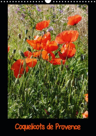 COQUELICOTS DE PROVENCE (CALENDRIER MURAL 2019 DIN A3 VERTICAL) - PHOTOS DES COQUELICOTS DE PROVENCE