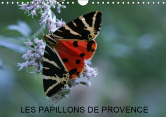 LES PAPILLONS DE PROVENCE (CALENDRIER MURAL 2019 DIN A4 HORIZONTAL) - LES BEAUX PAPILLONS AUX COULEU