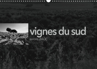 VIGNES DU SUD TERROIRS D'AOC (CALENDRIER MURAL 2019 DIN A3 HORIZONTAL) - PAYSAGES DES TERROIRS VITIC