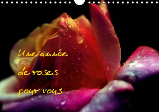 UNE ANNEE DE ROSES POUR VOUS (CALENDRIER MURAL 2019 DIN A4 HORIZONTAL) - PHOTOS INEDITES DE ROSES (C