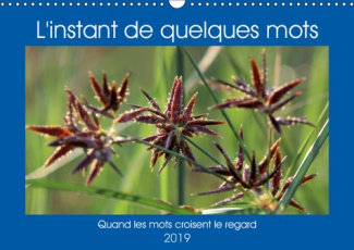 L'INSTANT DE QUELQUES MOTS (CALENDRIER MURAL 2019 DIN A3 HORIZONTAL) - QUAND LES MOTS CROISENT LE RE
