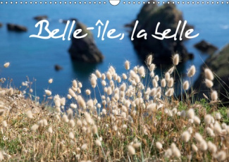 BELLE-ILE, LA BELLE (CALENDRIER MURAL 2019 DIN A3 HORIZONTAL) - BELLE-ILE-EN-MER, UNE ILE NATURE, NA