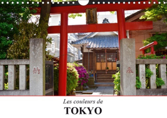 LES COULEURS DE TOKYO (CALENDRIER MURAL 2019 DIN A4 HORIZONTAL) - UN VOYAGE COLORE AU COEUR DE LA FA