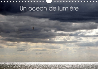 UN OCEAN DE LUMIERE (CALENDRIER MURAL 2019 DIN A4 HORIZONTAL) - JEU DE LUMIERE SUR L'OCEAN ET LA MER