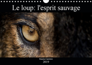 LE LOUP: L'ESPRIT SAUVAGE (CALENDRIER MURAL 2019 DIN A4 HORIZONTAL) - DES IMAGES INCROYABLES DE LOUP