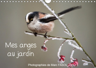 MES ANGES AU JARDIN (CALENDRIER MURAL 2019 DIN A4 HORIZONTAL) - ESPECES COMMUNES DES JARDINS... DU M