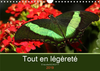 TOUT EN LEGERETE (CALENDRIER MURAL 2019 DIN A4 HORIZONTAL) - CALENDRIER MENSUEL AVEC DES PHOTOGRAPHI