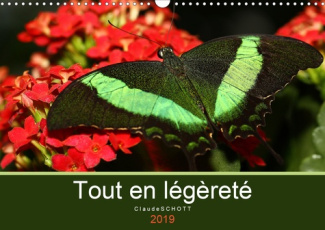 TOUT EN LEGERETE (CALENDRIER MURAL 2019 DIN A3 HORIZONTAL) - CALENDRIER MENSUEL AVEC DES PHOTOGRAPHI