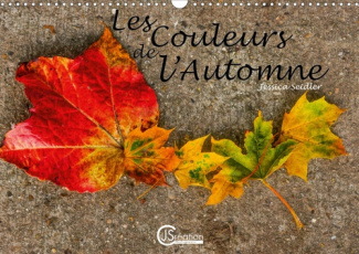 Les couleurs de l'Automne. Dame nature nous offre une diversité de couleurs notamment lors de la sai