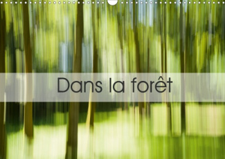 Dans la forêt (Calendrier mural 2020 DIN A3 horizontal). Une suite d'images prises en Creuse... (Cal
