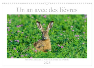 Un an avec des lièvres (Calendrier mural 2025 DIN A3 vertical), CALVENDO calendrier mensuel. Portrai