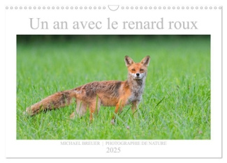 Un an avec le renard roux (Calendrier mural 2025 DIN A3 vertical), CALVENDO calendrier mensuel. Anim