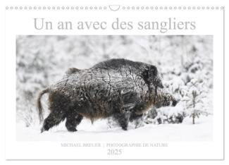Un an avec des sangliers (Calendrier mural 2025 DIN A3 vertical), CALVENDO calendrier mensuel. Super