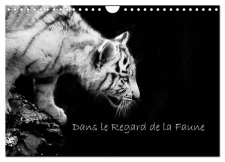 Dans le Regard de la Faune (Calendrier mural 2025 DIN A4 vertical), CALVENDO calendrier mensuel. Déc