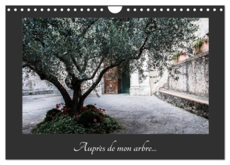 Auprès de mon arbre (Calendrier mural 2025 DIN A4 vertical), CALVENDO calendrier mensuel. Au travers