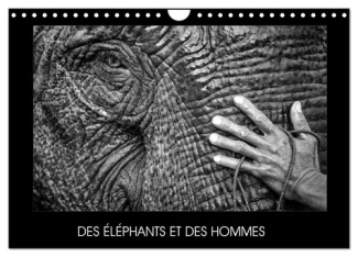 DES ÉLÉPHANTS ET DES HOMMES (Calendrier mural 2025 DIN A4 vertical), CALVENDO calendrier mensuel. La