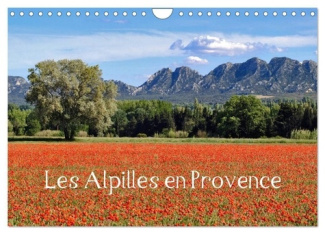 Les Alpilles en Provence (Calendrier mural 2025 DIN A4 vertical), CALVENDO calendrier mensuel. Regar