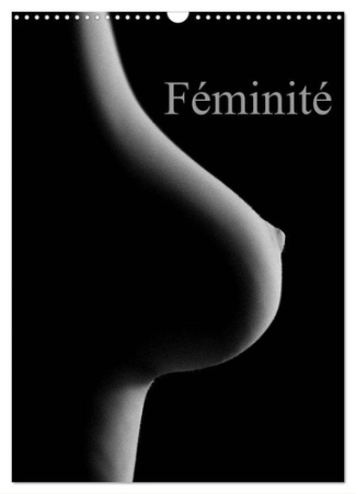 Féminité (Calendrier mural 2025 DIN A3 horizontal), CALVENDO calendrier mensuel. Prises érotiques du