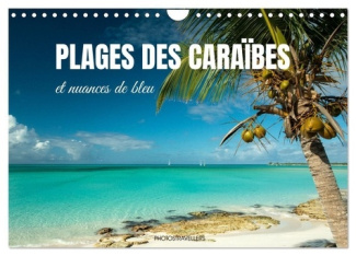 Plages des Caraïbes et nuances de bleu (Calendrier mural 2025 DIN A4 vertical), CALVENDO calendrier