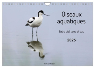 Oiseaux aquatiques - entre ciel, terre et eau (Calendrier mural 2025 DIN A4 vertical), CALVENDO cale
