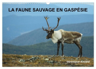 LA FAUNE SAUVAGE EN GASPÉSIE (Calendrier mural 2025 DIN A3 vertical), CALVENDO calendrier mensuel. B