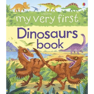 MY VERY FIRST DINOSAURS BOOK