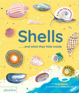 SHELLS... AND WHAT THEY HIDE INSIDE !
